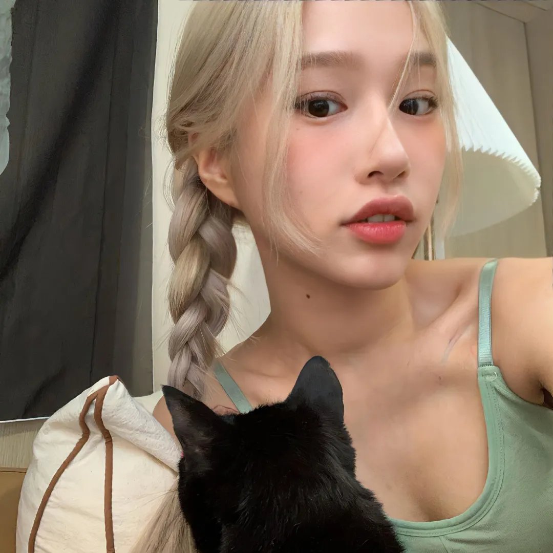 福五鼠之战国风云